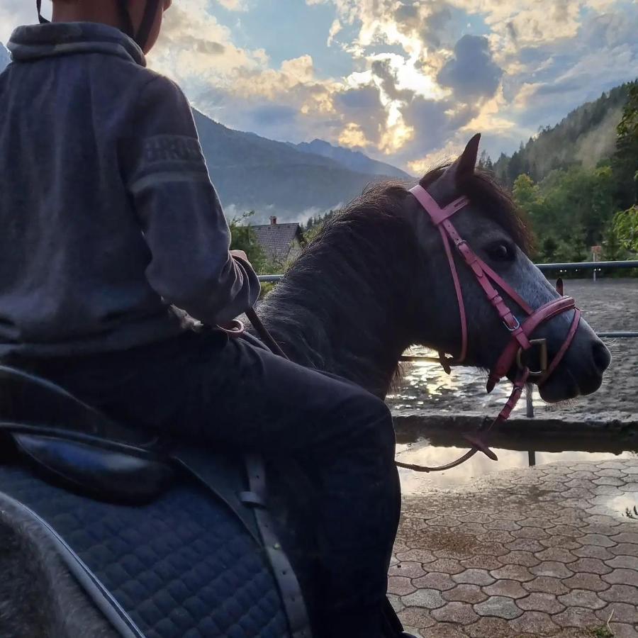شقة Sport & Sunny Cosy Alpine Retreat كْرانْيِسكا غورا المظهر الخارجي الصورة
